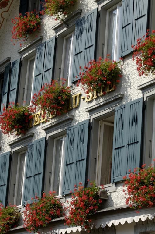 Hotel Beausite Unterseen Екстер'єр фото